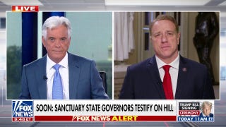 House Republican argues anti-ICE protests are 'clearly premeditated'