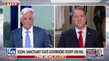 House Republican argues anti-ICE protests are 'clearly premeditated'