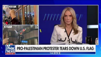 Dana Perino: Another weekend of chaos with anti-Israel protesters flooding the streets