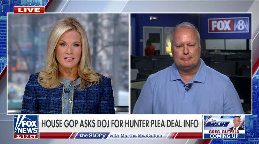 Former Biden donor who faced prison time calls out Hunter plea deal: Always protecting the Bidens