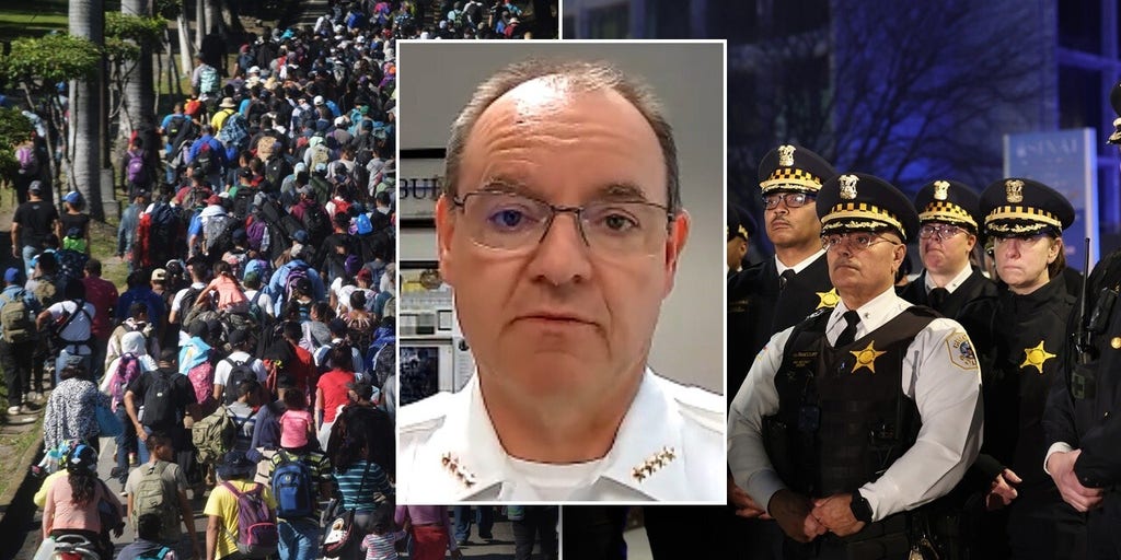 Noncitizens enforcing US laws will create problems, says Illinois