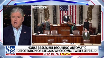 Mike Johnson: Democrats are ‘at it again’ with closing government agencies