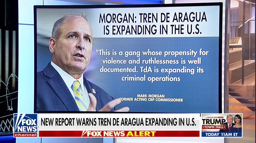 Brutal assault by alleged migrant gang member caught on video