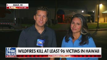 Tulsi Gabbard praises Hawaii community amid wildfires: 'Aloha spirit shines through'