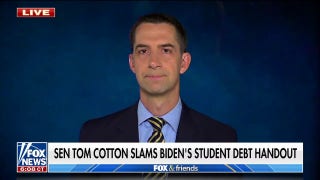 Tom Cotton: 'This will hurt so many Americans'  - Fox News