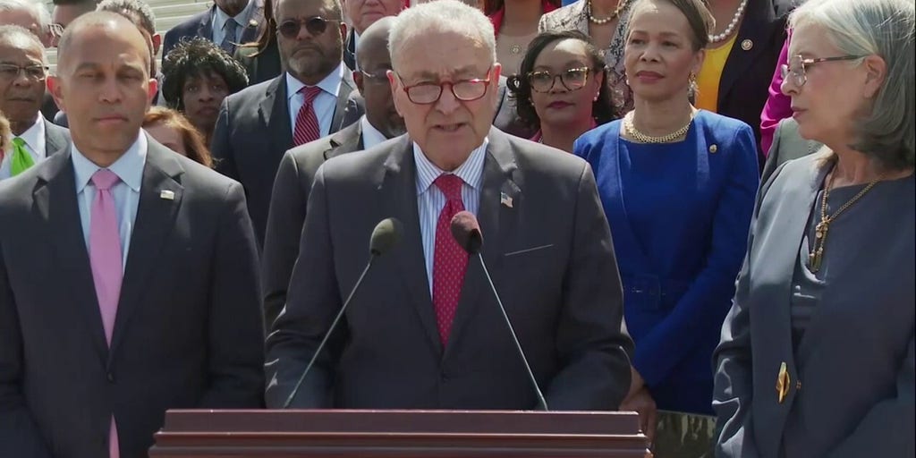 Schumer, Democrats speak on Trump's 100 days