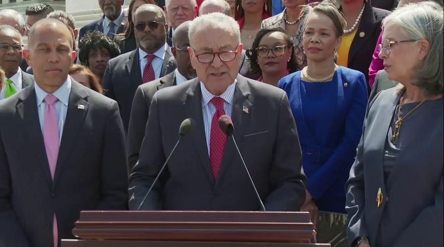 Schumer, Democrats speak on Trump's 100 days