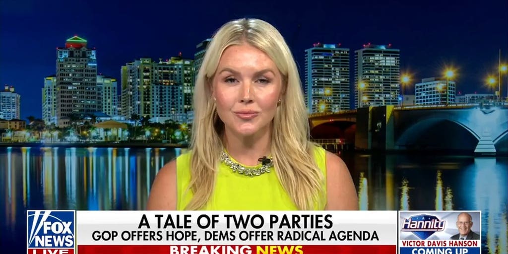 Karoline Leavitt: Democrats want to destroy America