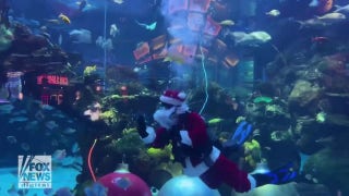 Santa swims underwater for hotel guests: See the amazing video! - Fox News