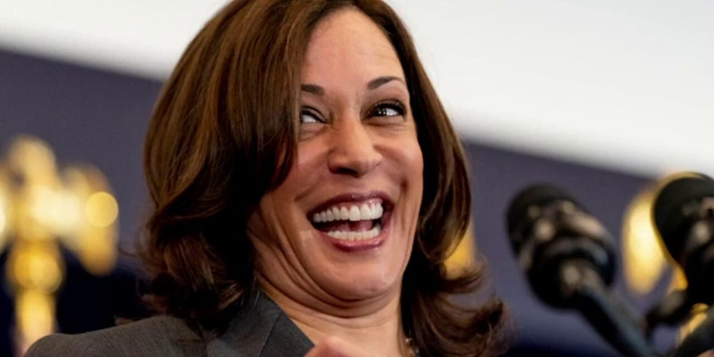 Kamala Harris roasted for her definition of artificial intelligence
