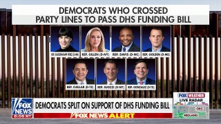 Seven house Dems break rank to pass funding bill