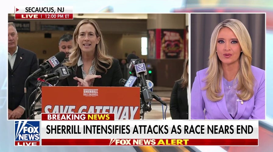 Sherrill dismisses Ciattarelli's pending defamation lawsuit: 'A total baby'