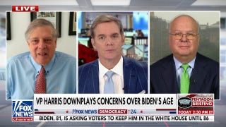 Harris downplays Biden age concerns: 'More than a chronological fact' - Fox News