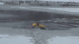 Utah firefighter saves dog stuck in icy pond - Fox News