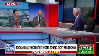 Democrats ‘lost themselves’ if illegal healthcare is the crux of shutdown, says political advisor