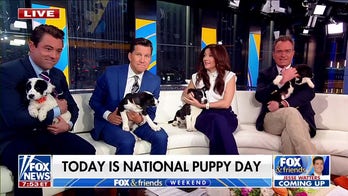 ‘Fox & Friends Weekend’ celebrates National Puppy Day