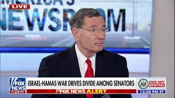 Sen. Barrasso slams Schumer's 'disgraceful' rebuke of Netanyahu