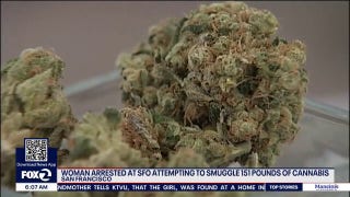 Woman allegedly caught with over 150 pounds of cannabis at San Francisco Airport