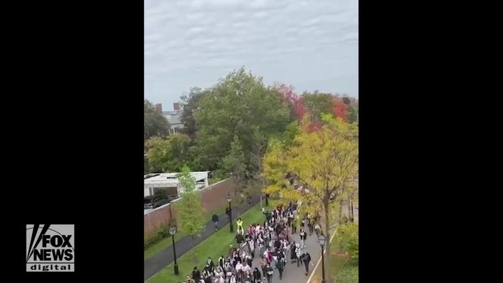 Pro-Palestinian Harvard students stage a protest and 'die-in' on campus against Israel's 'genocide' in Gaza