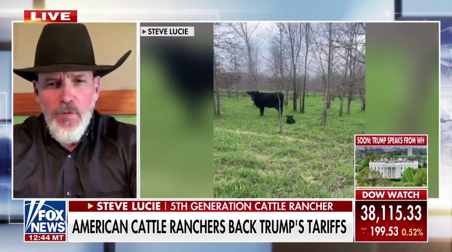 Cattle rancher urges investors to 'remain calm' during Trump tariff uncertainty