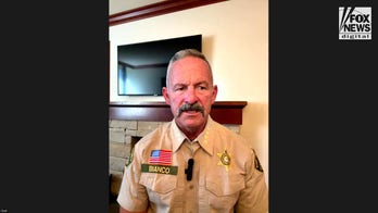 CA sheriff slams Gov. Newsom amid riots in LA