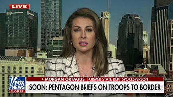 Biden has no immigration solutions for Democrats in border towns: Morgan Ortagus 