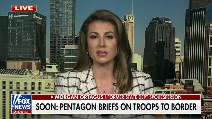 Biden has no immigration solutions for Democrats in border towns: Morgan Ortagus 