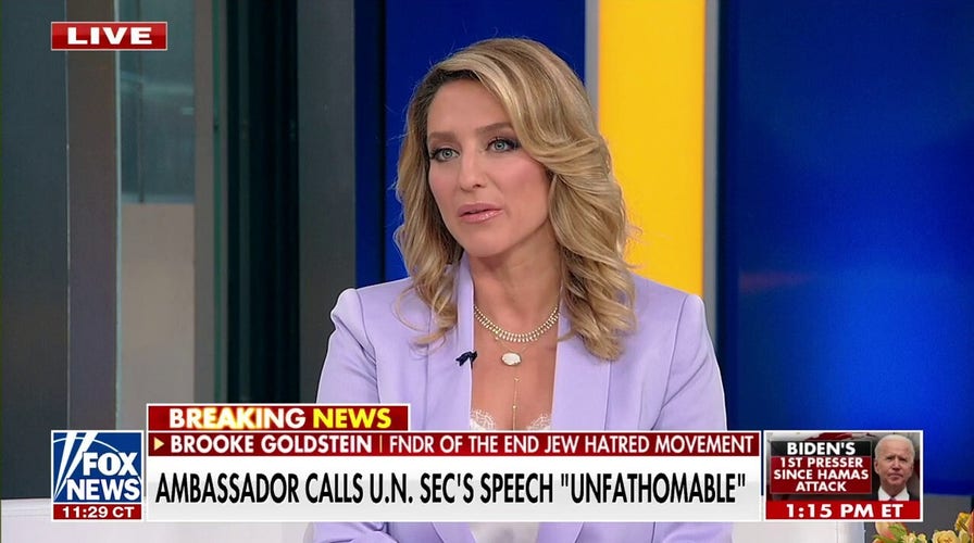 UN official, other leaders are acting as ‘Islamo-Nazi mouthpieces’: Brooke Goldstein