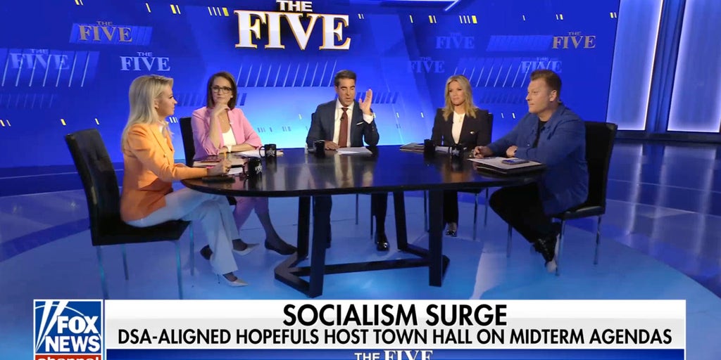 Kayleigh McEnany: You guys are dealing with crazy, radical maniacs