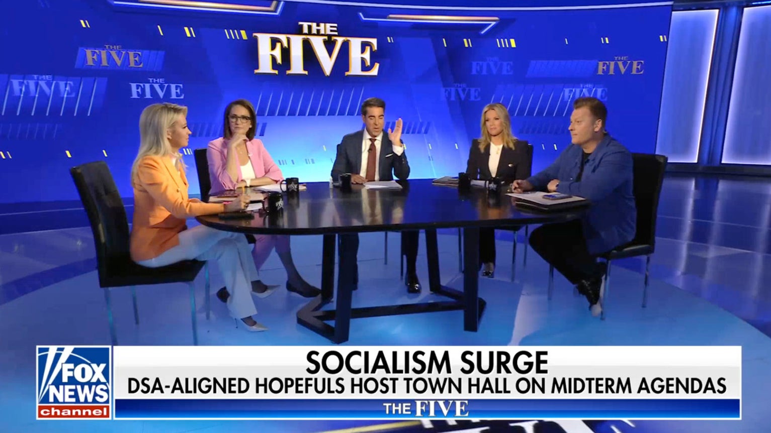 Kayleigh McEnany: You guys are dealing with crazy, radical maniacs