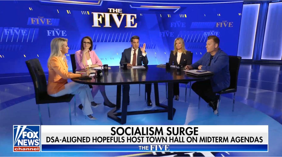 Kayleigh McEnany: You guys are dealing with crazy, radical maniacs