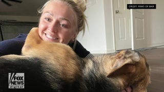 National Guard soldier welcomes home German shepherd rescued during deployment - Fox News