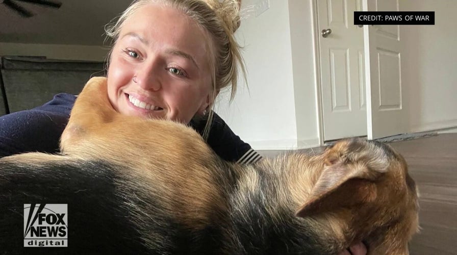 National Guard soldier welcomes home German shepherd rescued during deployment