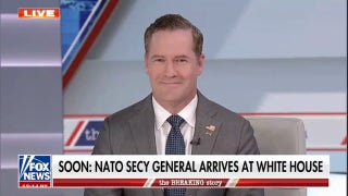 Amb Mike Waltz says US needs ‘capable’ NATO allies, credits Trump with increased defense spending in alliance