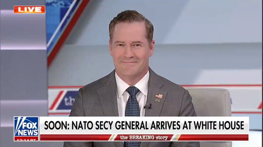 Amb Mike Waltz says US needs ‘capable’ NATO allies, credits Trump with increased defense spending in alliance