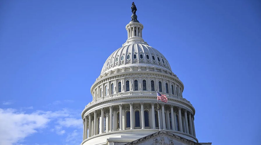 WATCH LIVE: Senate votes on proposals to fund and reopen the government