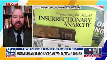 Dems' anti-law enforcement rhetoric has been 'building for years,' expert says