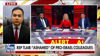 Israel cares more about Palestinian civilians than Hamas: Dan Illouz