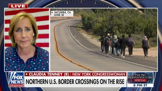 Every state is a border state with ‘lenient’ crime laws: Claudia Tenney - Fox News
