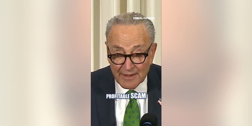 Schumer's anti-corruption speech HIJACKED by HECKLER over Gaza