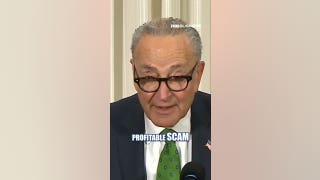 Schumer's anti-corruption speech HIJACKED by HECKLER over Gaza