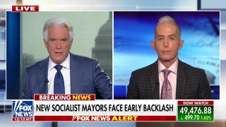 Trey Gowdy: I’m so sick of these 'limousine liberals'