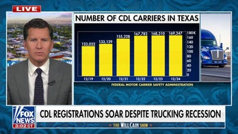 Number of foreign-born truck drivers see increase amid US trucking industry struggles