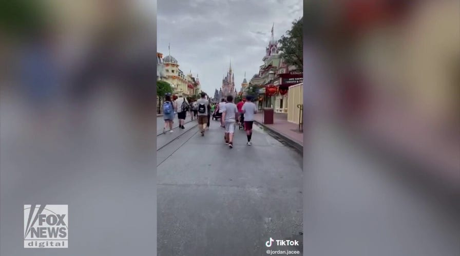 'Disney Adults' debate rages online after viral video of woman 'ugly crying' at Disney park resurfaces