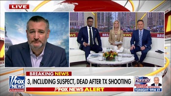 Austin shooting appears to be linked to Iranian ‘sleeper cells,' Sen. Ted Cruz says