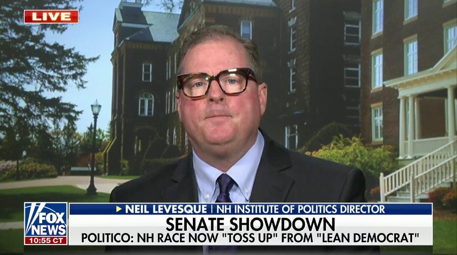 Americans are voting for ‘change’ this midterm election: Neil Leveque