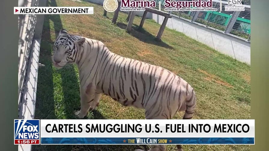 Cartels allegedly cash in on reverse fuel smuggling from US to Mexico