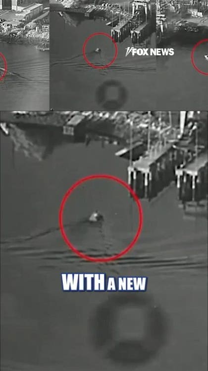 US deploys 'kamikaze drone boats' in first combat strike against Iran