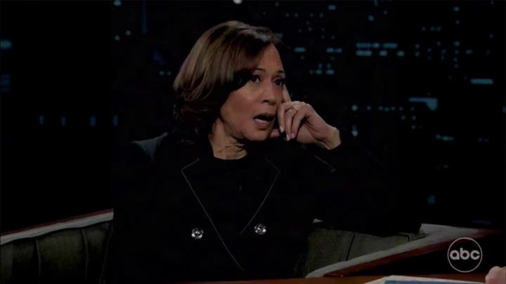 Kamala Harris says she 'needed more support' from the Biden administration during her 2024 campaign