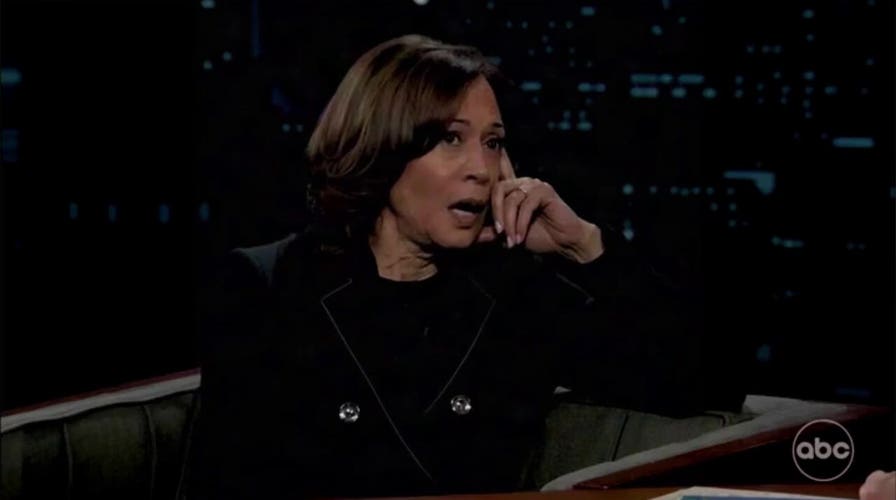 Kamala Harris says she 'needed more support' from the Biden administration during her 2024 campaign